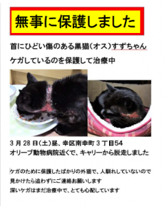 迷子黒猫のすずちゃん 無事に見つかりました いつもへそ天